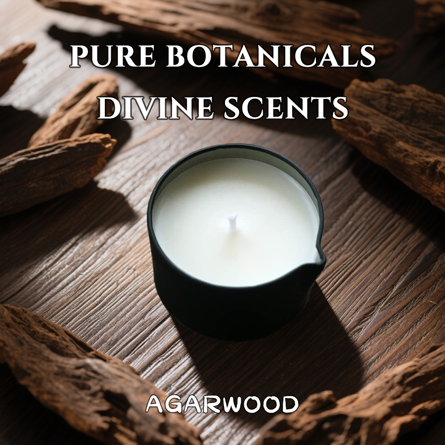Massage Candle - for RelaxingO - Scented Candle Luxury 리뷰 및 가격